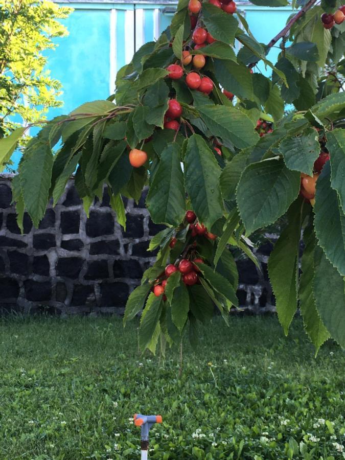 Edem Sevan Exteriér fotografie